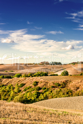 Fields in Tuscany