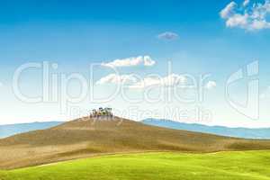 Fields in Tuscany