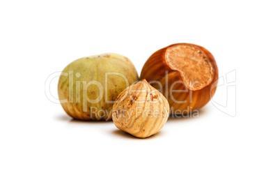 Hazelnut kernel isolated