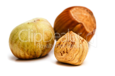 Hazelnut kernel isolated