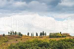 Fields in Tuscany