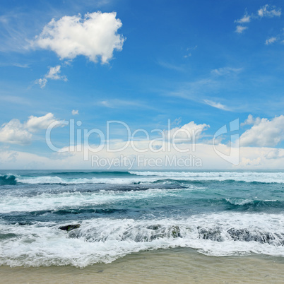 beautiful waves in the sea