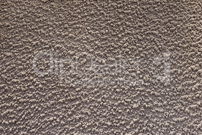 gray textured plaster wall close-up