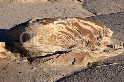 Bisti Badlands, New Mexico, USA