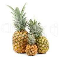 collection pineapple