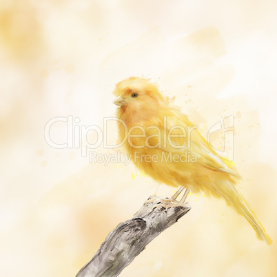 Yellow Bird Watercolor