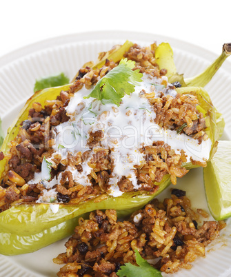 Stuffed Poblano Pepper