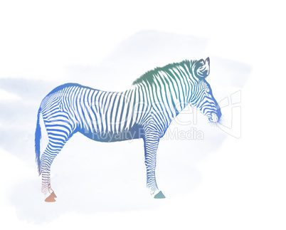 Zebra Watercolor