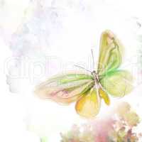 Butterfly Watercolor