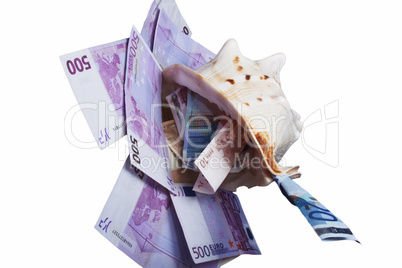 banknotes are in denominations of 500, 20,10, euros are in a sea