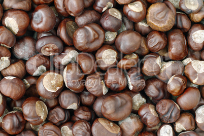 Chestnuts