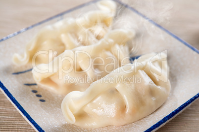 Popular Chinese Cuisine Dumplings