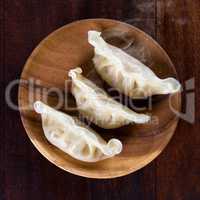 Asian dish dumplings