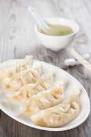 Asian cuisine dumplings