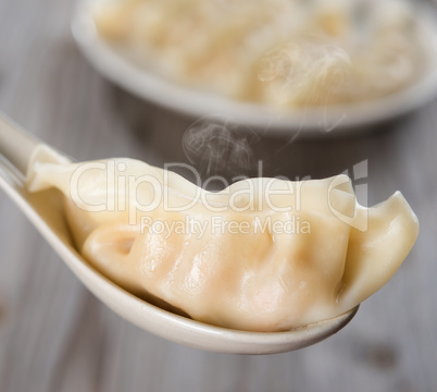 Asian Chinese gourmet dumplings