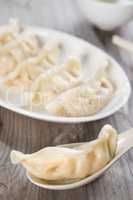 Asian Chinese meal dumplings