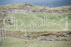 Landscape on the Faroe Islands