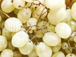 Retro looking Grape picture