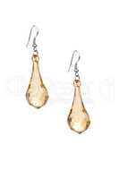 Pair of golden earrings