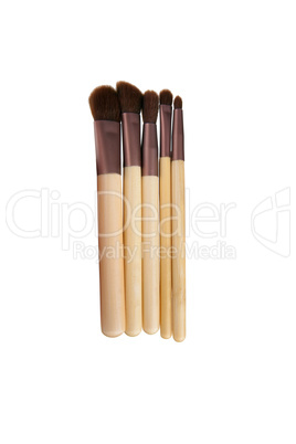 Makeup brush kit