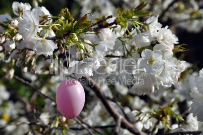 Osterei in blühendem Baum