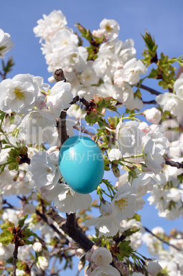 Osterei in blühendem Baum