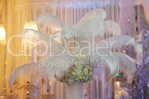 Ostrich feathers in a vase as a decoration