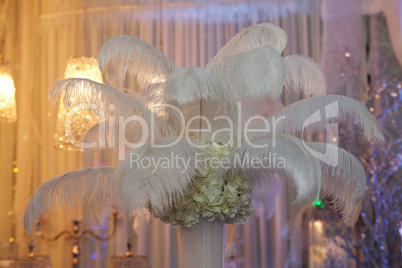 Ostrich feathers in a vase as a decoration