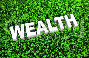 Growing Your Wealth