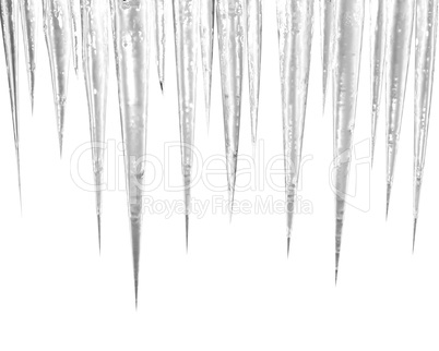 icicles on the white