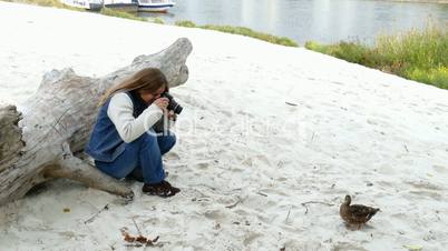 hobby photographer takes a foto of a duck