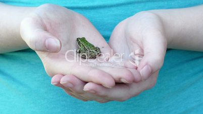a girl holds a frog in her hand