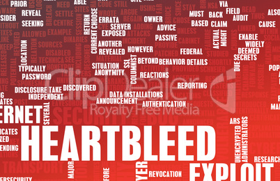 Heartbleed Exploit