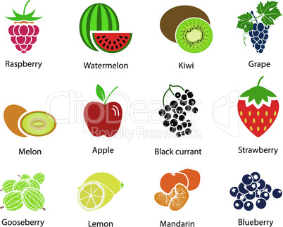 Set of Fruit Icons With Title