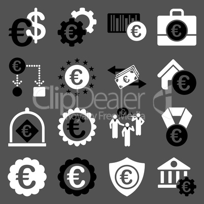 Euro banking business and service tools icons