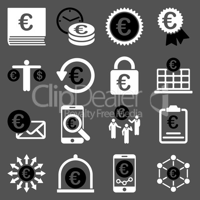 Euro banking business and service tools icons