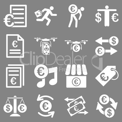 Euro banking business and service tools icons