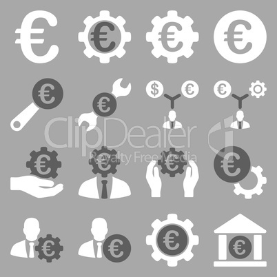 Euro banking business and service tools icons