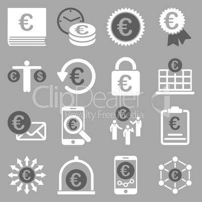 Euro banking business and service tools icons