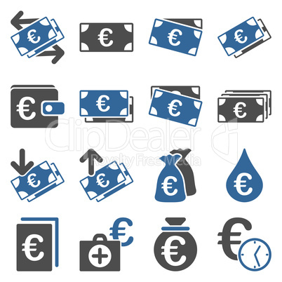 Euro banking business and service tools icons