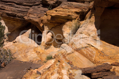 Capitol Reef NP, Utah, USA