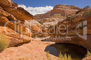 Capitol Reef NP, Utah, USA