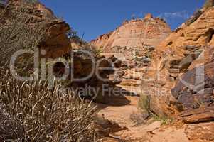 Capitol Reef NP, Utah, USA