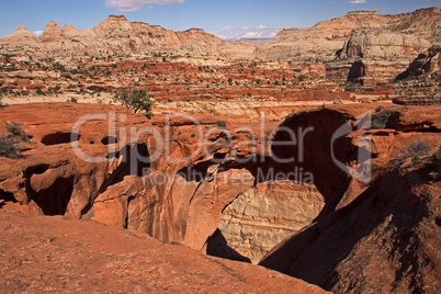 Capitol Reef NP, Utah, USA