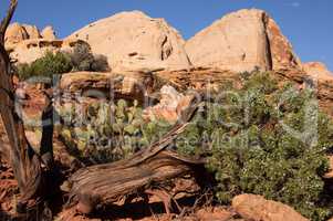 Capitol Reef NP, Utah, USA