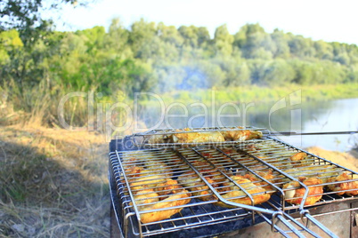 barbecue from hen's meat cooked in the nature