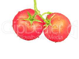 two red tomatoes isolated