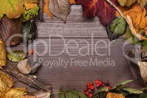 colorful autumn leaves frame on the wooden background