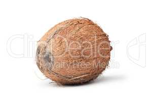 fresh coconut isolated on the white background