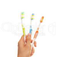 hand with colorful toothbrushes isolated over white background